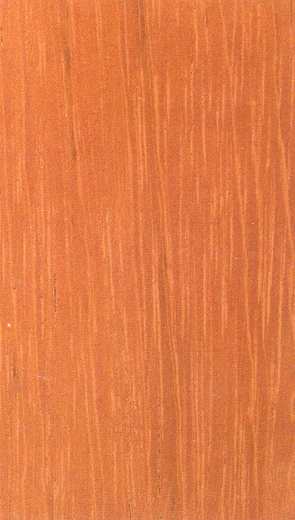 JATOBA