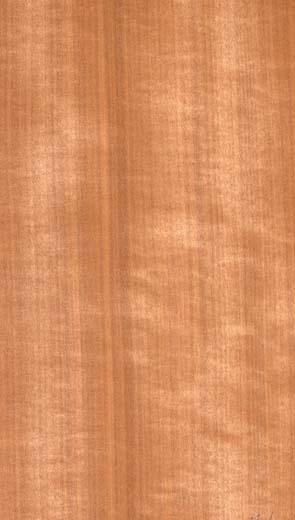 MAKORE (DOUKA)